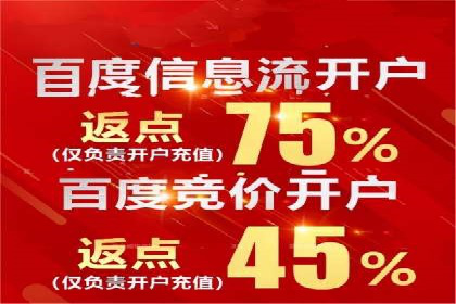 揭秘成功的关键词竞价排名背后的策略与执行